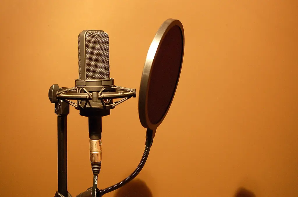 Micrófono de estudio con filtro antipop
